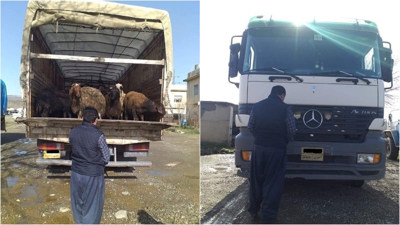تعدادی قاچاقچی دام در مرز اقلیم کردستان و ایران دستگیر شدند